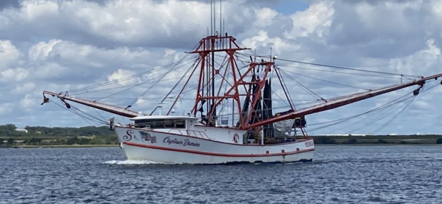 Dolphin and Manatee Tour