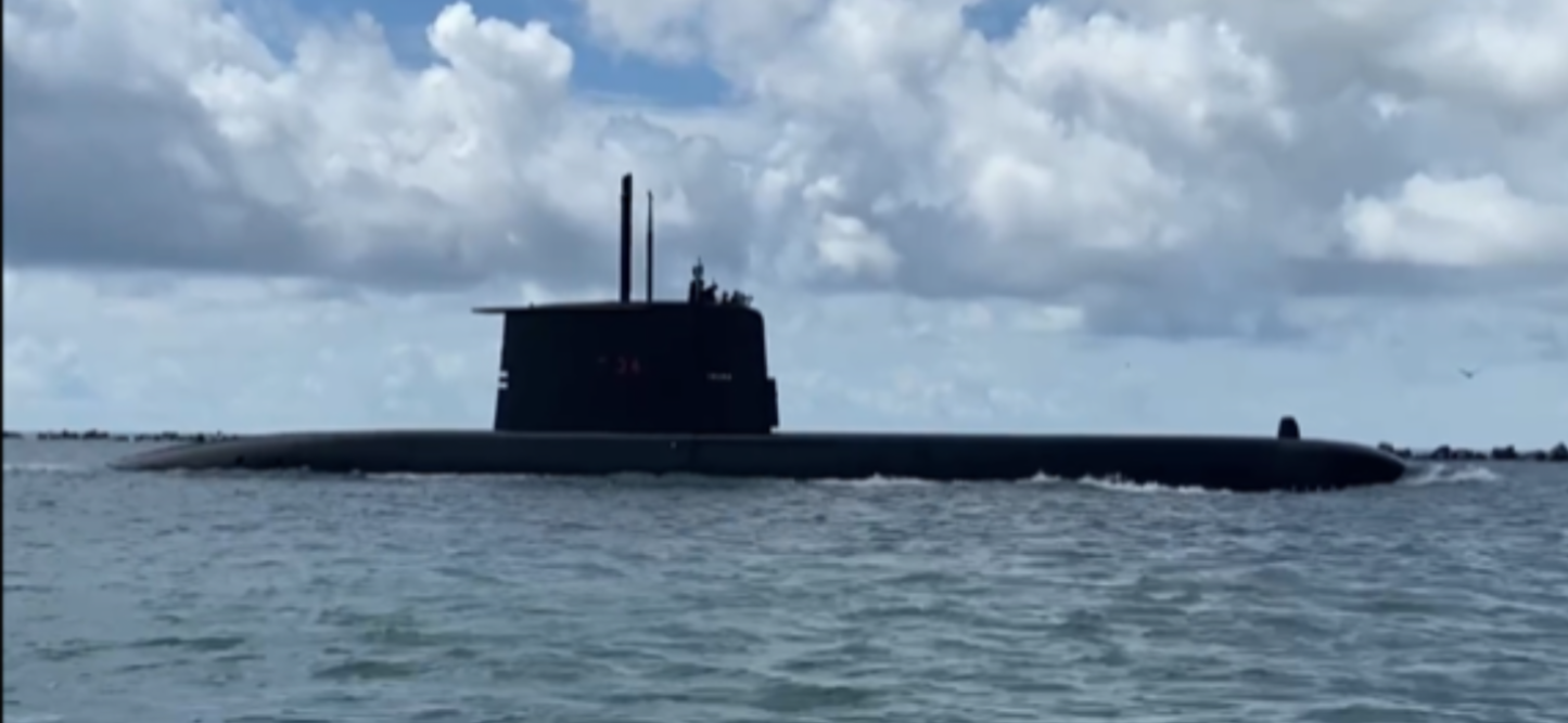 Dolphin and Manatee Tour