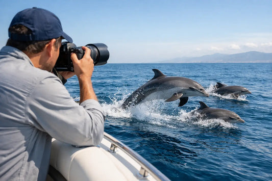 How to Photograph Dolphins From Boats