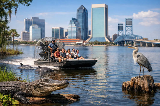 St Johns River Wildlife Tour in Jacksonville