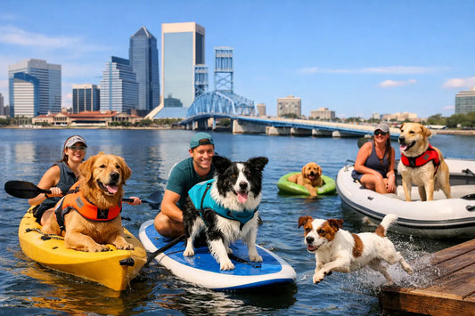 7 Top Pet Friendly Water Activities in Jacksonville