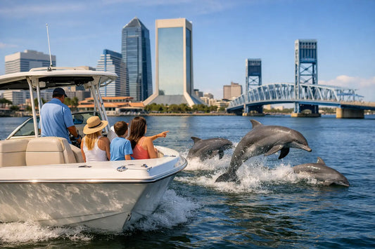 How Private Dolphin Tours Work in Jacksonville