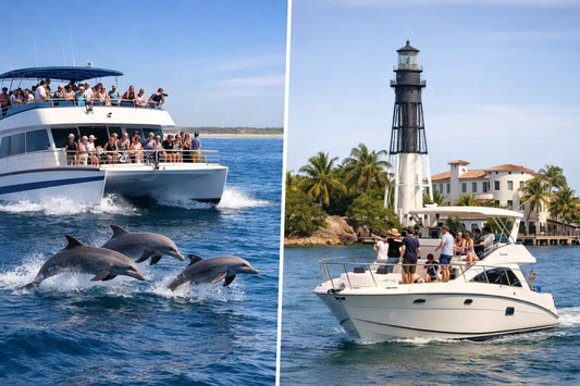 Dolphin Cruise Versus Sightseeing Charter